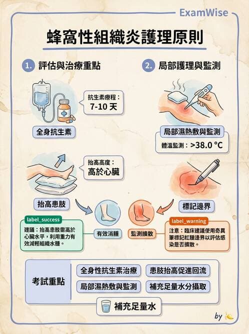 護理師 - 皮膚疾病與傷口護理 - AI 圖文解析預覽