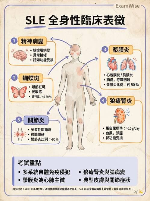 護理師 - 自體免疫疾病與過敏反應 - AI 圖文解析預覽