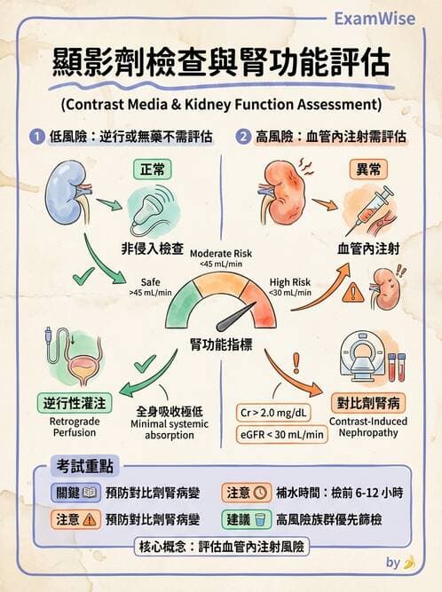 護理師 - 泌尿道疾病與排尿障礙 - AI 圖文解析預覽