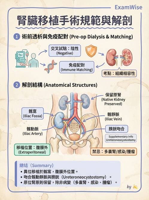 護理師 - 器官移植與AIDS - AI 圖文解析預覽