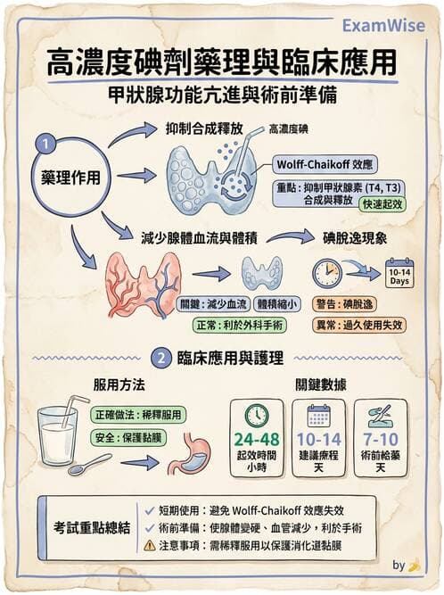 護理師 - 甲狀腺與副甲狀腺疾病 - AI 圖文解析預覽