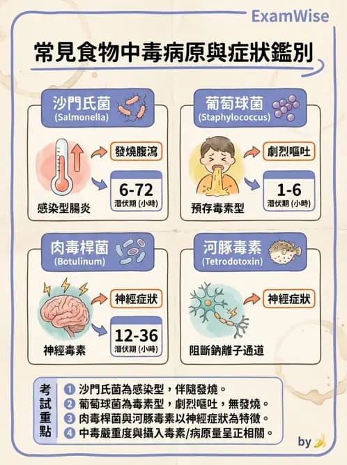 護理師 - 中毒與外傷護理 - AI 圖文解析預覽