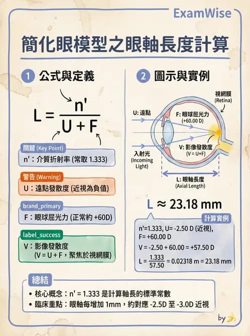驗光生 - 屈光不正基礎:近視、遠視與視網膜影像 - AI 圖文解析預覽