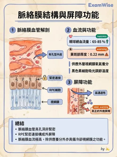 驗光生 - 眼部血液供應、脈絡膜與玻璃體 - AI 圖文解析預覽