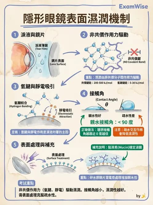 驗光生 - 軟式鏡片單體材料特性與含水量 - AI 圖文解析預覽