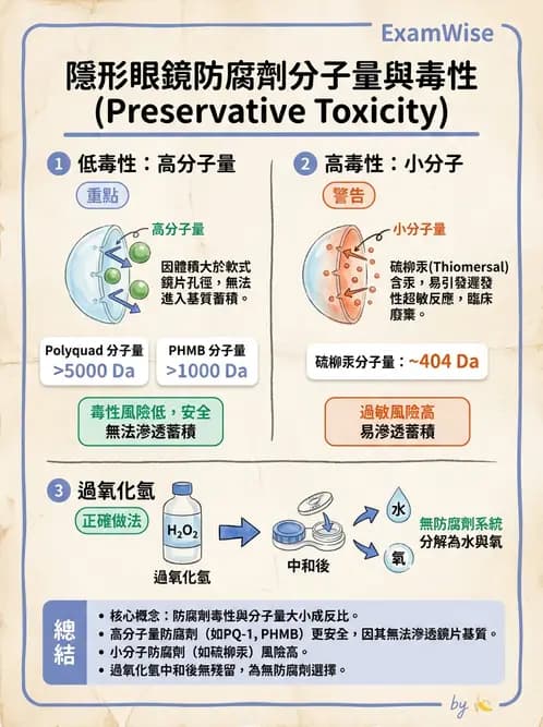 驗光生 - 隱形眼鏡護理液成分與防腐劑 - AI 圖文解析預覽