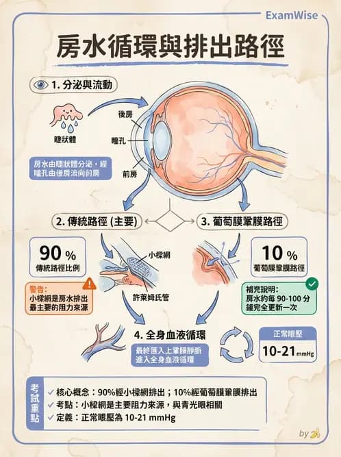 驗光生 - 屈光介質與眼壓調節 - AI 圖文解析預覽