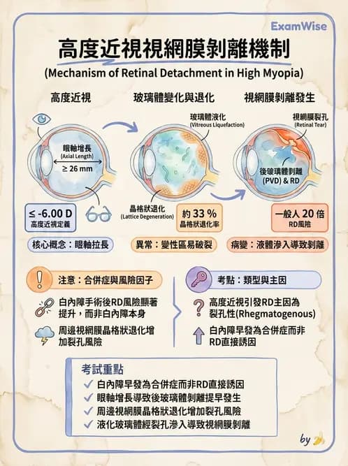 驗光生 - 全身性疾病眼部表現與神經眼科 - AI 圖文解析預覽