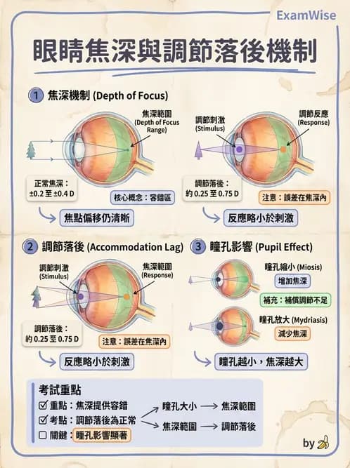 驗光生 - 調節機制與幅度量測原理 - AI 圖文解析預覽