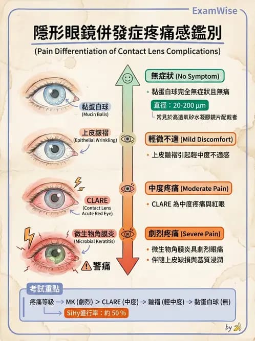驗光生 - 角膜表面機械性損傷與染色 - AI 圖文解析預覽