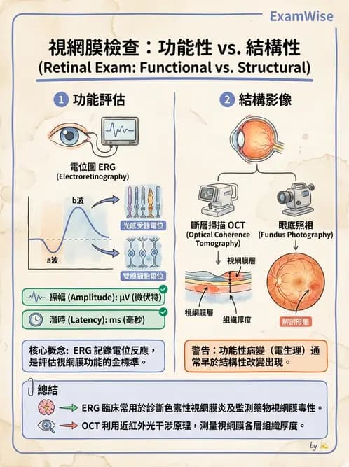 驗光生 - 視覺功能、視野與電生理檢查 - AI 圖文解析預覽