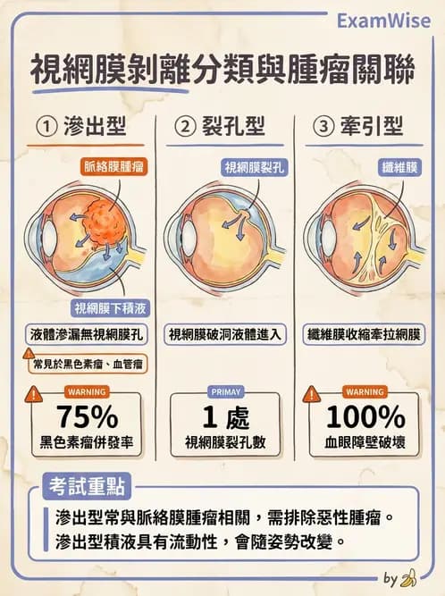 驗光生 - 視網膜與玻璃體疾病 - AI 圖文解析預覽