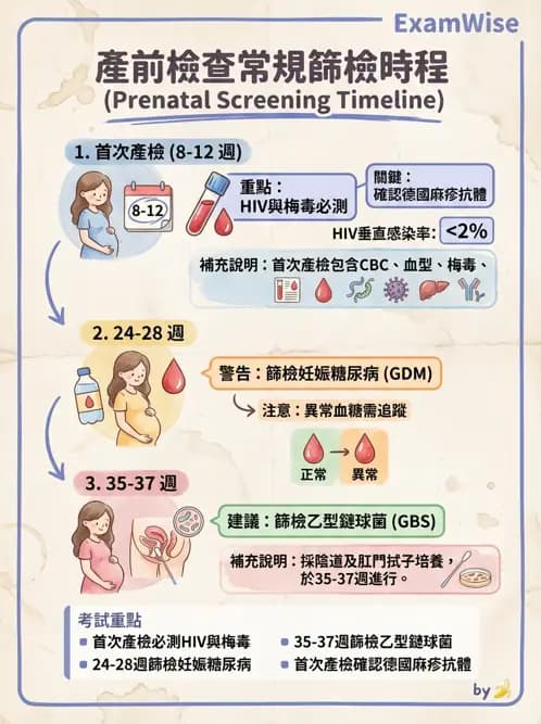 護理師 - 孕期生理變化與不適護理 - AI 圖文解析預覽