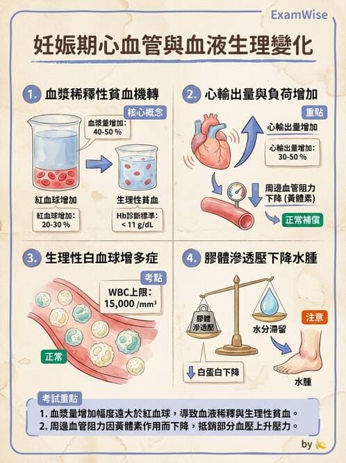 護理師 - 孕期生理變化與不適護理 - AI 圖文解析預覽