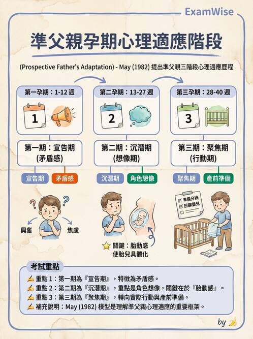 護理師 - 孕期營養心理與衛生政策 - AI 圖文解析預覽