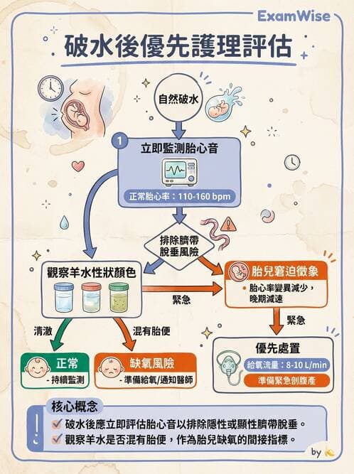 護理師 - 產程機轉與待產護理 - AI 圖文解析預覽