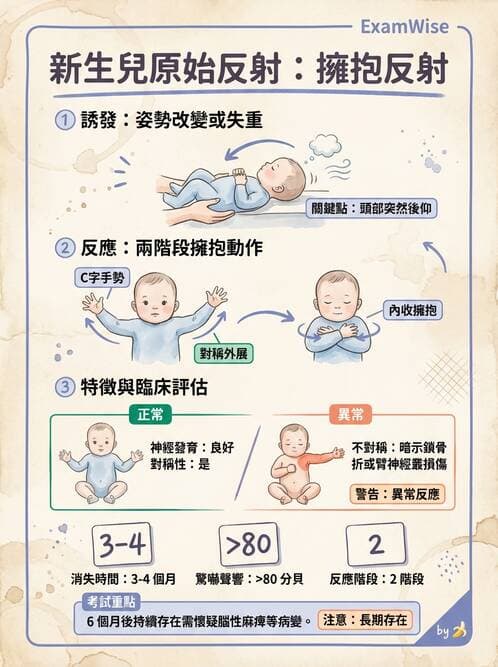 護理師 - 新生兒評估與生理特徵 - AI 圖文解析預覽