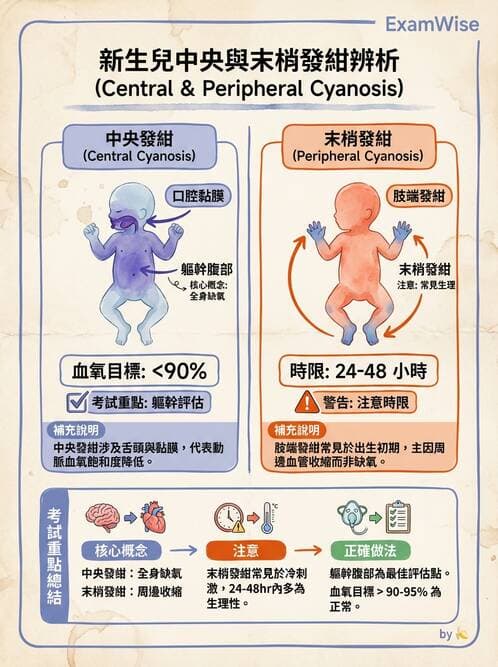 護理師 - 新生兒評估與生理特徵 - AI 圖文解析預覽