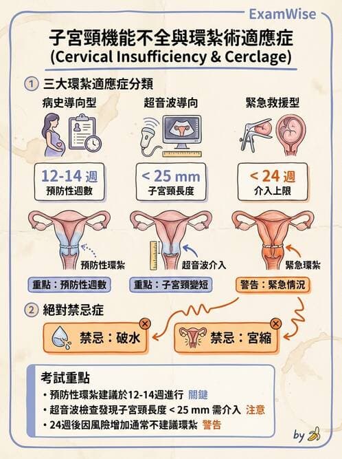 護理師 - 高危險妊娠 - AI 圖文解析預覽