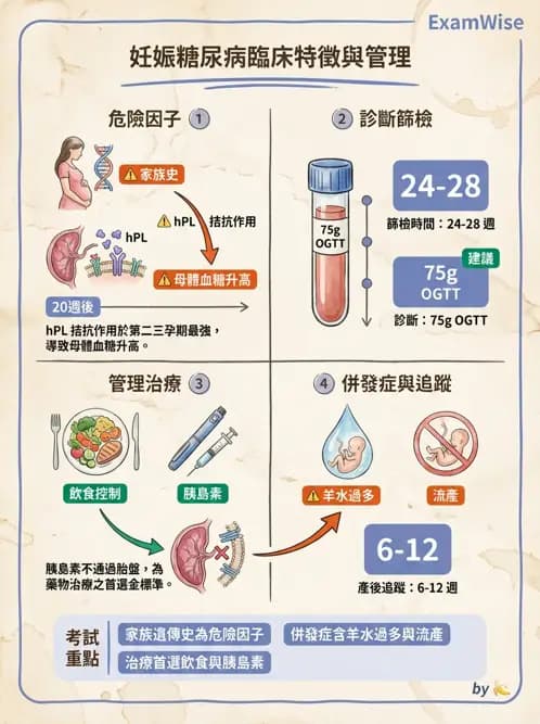 護理師 - 高危險妊娠 - AI 圖文解析預覽