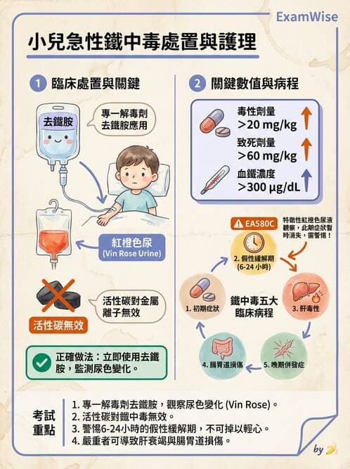 護理師 - 兒童預防保健與安全 - AI 圖文解析預覽