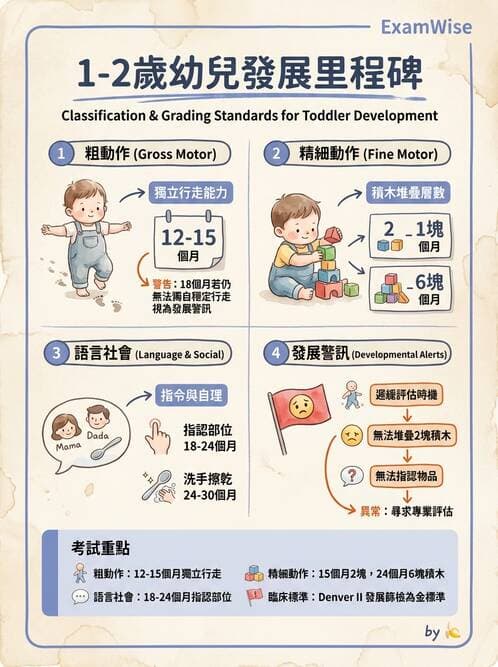 護理師 - 兒童生長發展與評估 - AI 圖文解析預覽