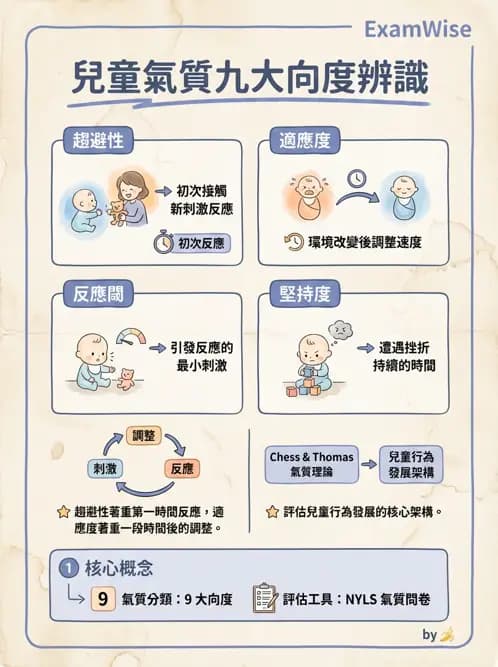 護理師 - 兒童心理社會發展與遊戲 - AI 圖文解析預覽