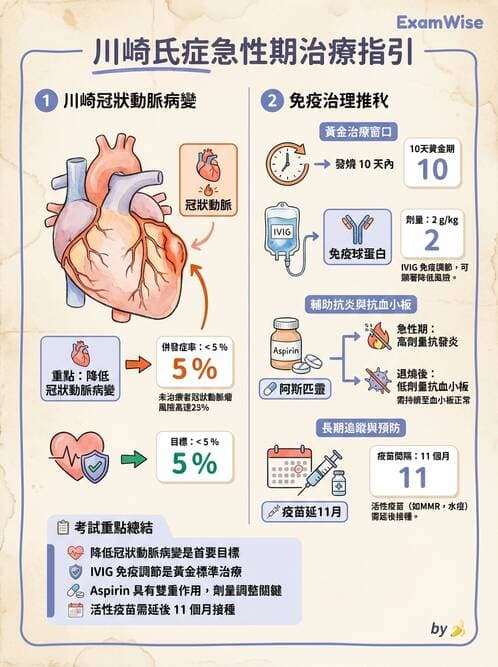 護理師 - 兒童循環系統疾病 - AI 圖文解析預覽