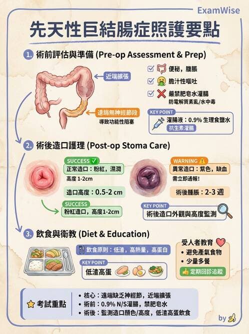 護理師 - 兒童消化系統疾病 - AI 圖文解析預覽