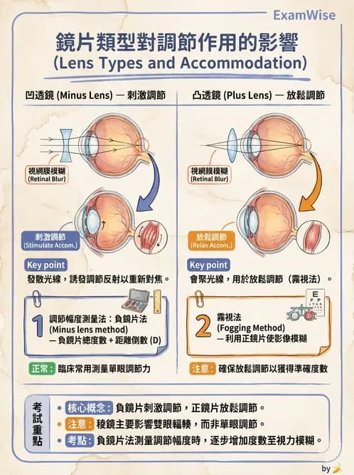 驗光生 - 調節機制與幅度量測原理 - AI 圖文解析預覽