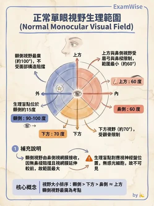 驗光生 - 針孔視力、色覺與視野篩檢 - AI 圖文解析預覽
