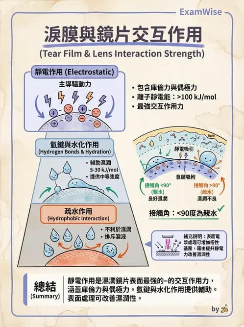 驗光生 - 鏡片材質特性與透氧性 - AI 圖文解析預覽