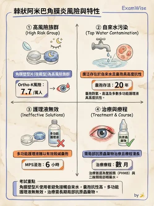 驗光生 - 感染性與炎症性角膜結膜炎 - AI 圖文解析預覽