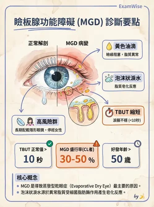 驗光生 - 乾眼、沉積物與結膜過敏反應 - AI 圖文解析預覽