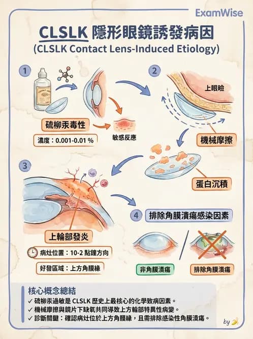 驗光生 - 角膜表面機械性損傷與染色 - AI 圖文解析預覽