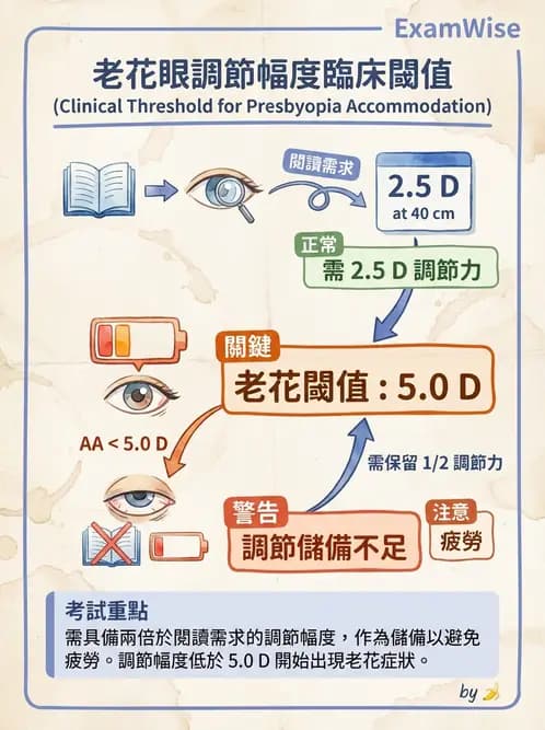 驗光生 - 老花眼基礎概念與調節幅度 - AI 圖文解析預覽