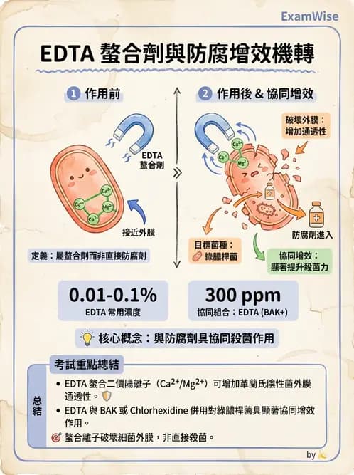 驗光生 - 隱形眼鏡護理液成分與防腐劑 - AI 圖文解析預覽