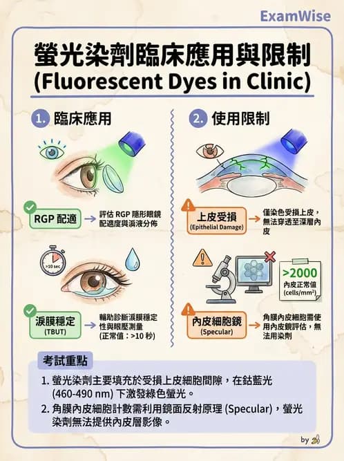驗光生 - 眼前段檢查與角膜測量 - AI 圖文解析預覽