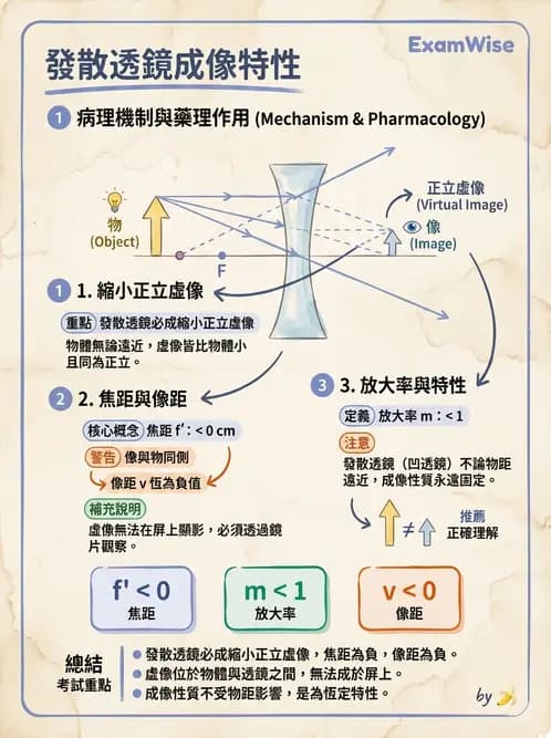 驗光生 - 薄透鏡成像特性與光線追跡 - AI 圖文解析預覽