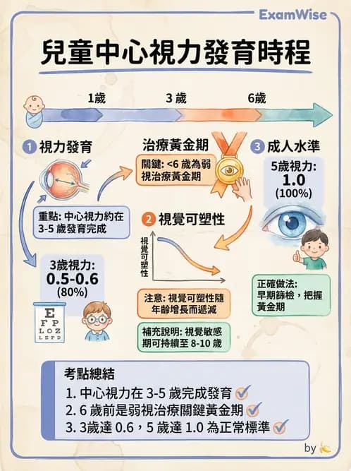 驗光生 - 視覺功能、視野與電生理檢查 - AI 圖文解析預覽