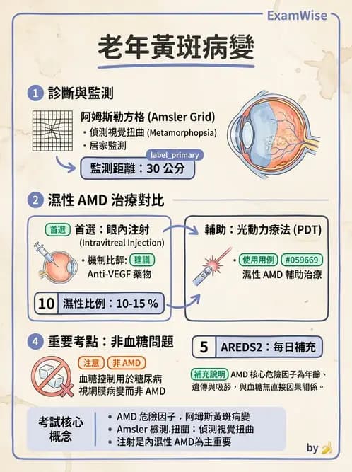 驗光生 - 視網膜與玻璃體疾病 - AI 圖文解析預覽