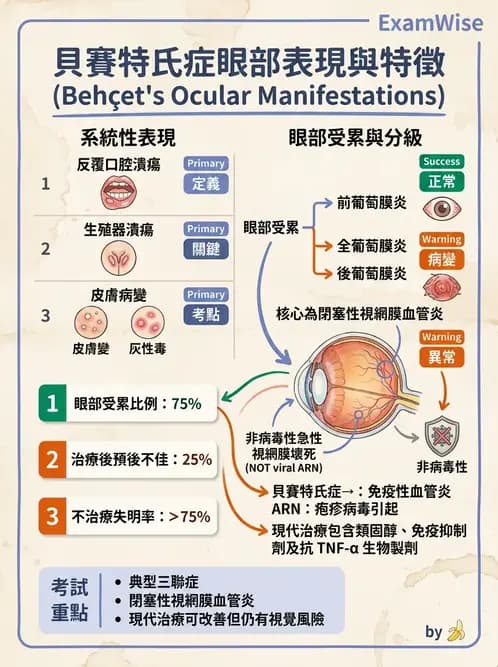 驗光生 - 全身性疾病眼部表現與神經眼科 - AI 圖文解析預覽