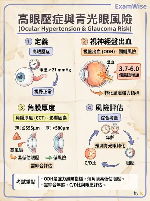 驗光生 - 青光眼與水晶體疾病 - AI 圖文解析預覽