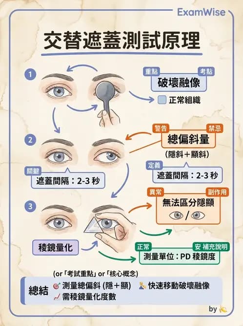 驗光生 - 眼位偏斜檢查 - AI 圖文解析預覽
