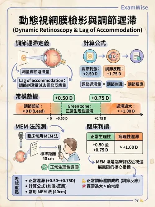 驗光生 - 動態視網膜檢影術(Nott法與MEM) - AI 圖文解析預覽