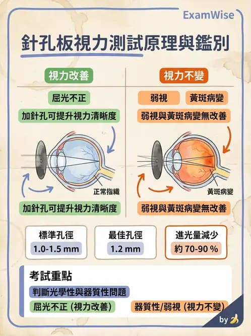 驗光生 - 針孔視力、色覺與視野篩檢 - AI 圖文解析預覽