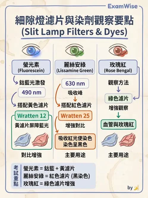 驗光生 - 眼前段檢查與角膜測量 - AI 圖文解析預覽
