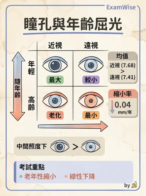 驗光生 - 老花隱形眼鏡設計選擇與適合對象評估 - AI 圖文解析預覽