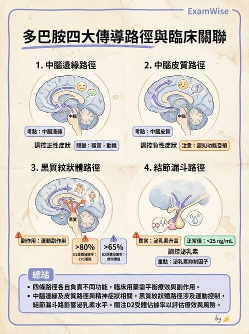 護理師 - 情感與思覺障礙綜合評估 - AI 圖文解析預覽