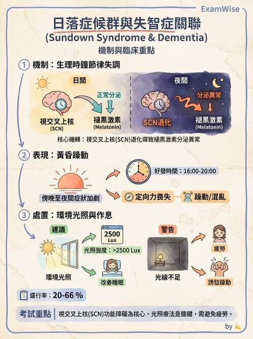 護理師 - 老年精神疾患 - AI 圖文解析預覽